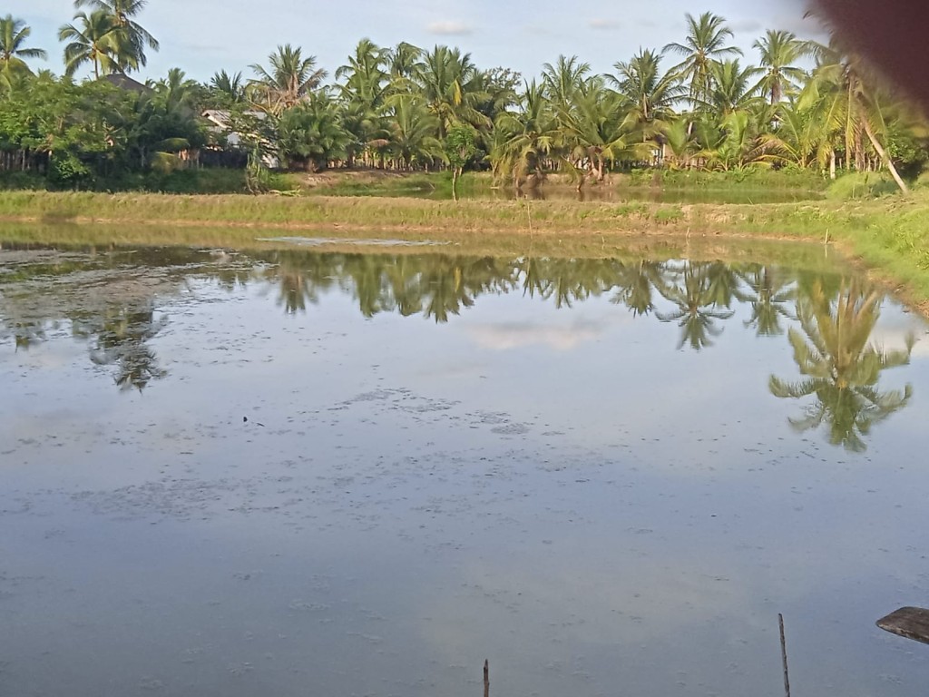 Desa ini memiliki karakteristik tanah dan sumber air yang cocok untuk tambak udang .